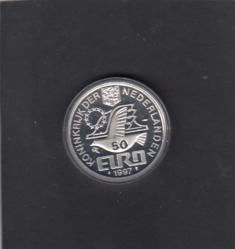 Achterzijde